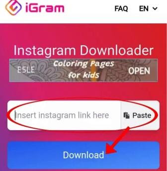 How To Save An Instagram Video To Camera Roll